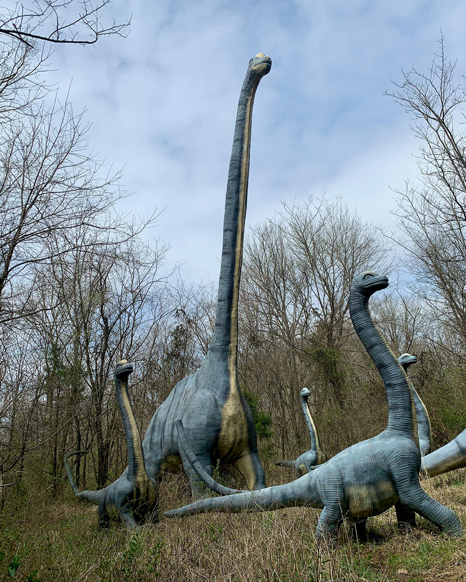 Unleash Your Inner Paleontologist: Take Our Epic Dinosaur Quiz!